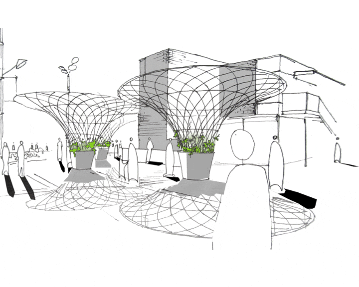 plant based placemaking for urban 
greening, bringing shade and nature